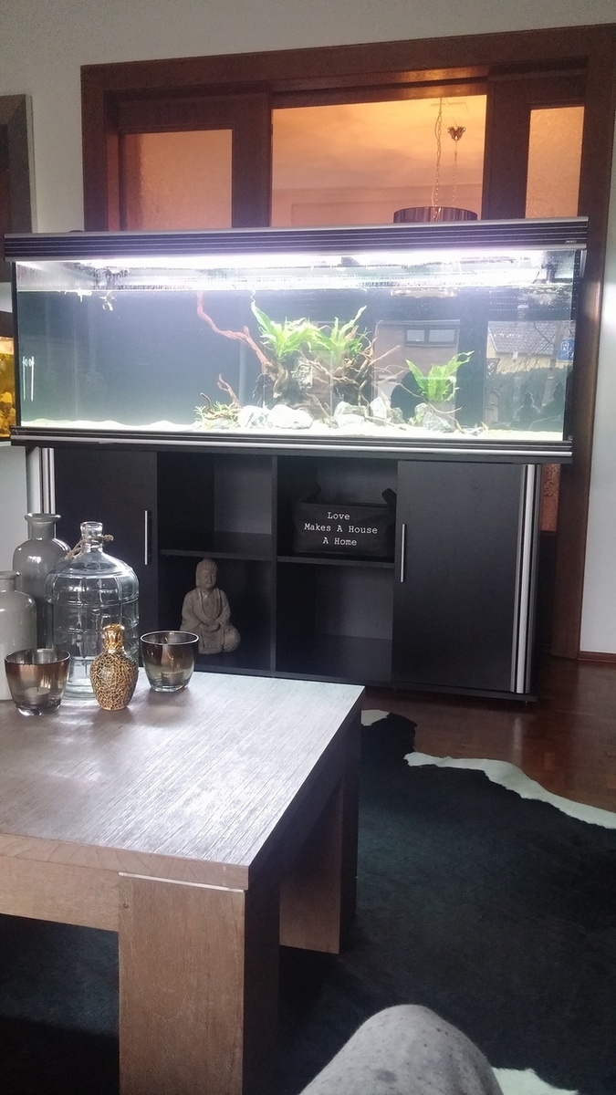 Tips gevraagd bij een nieuwe discus bak! AquaForum