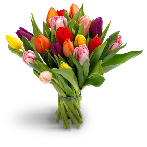 bos-gemengde-tulpen-groot.jpg