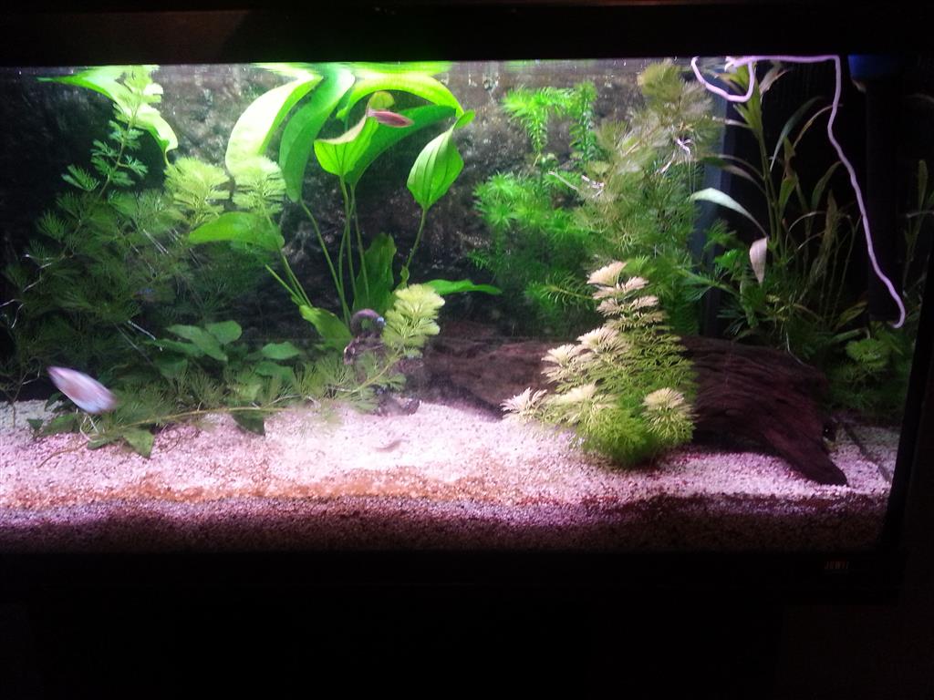 brianaquarium.jpg