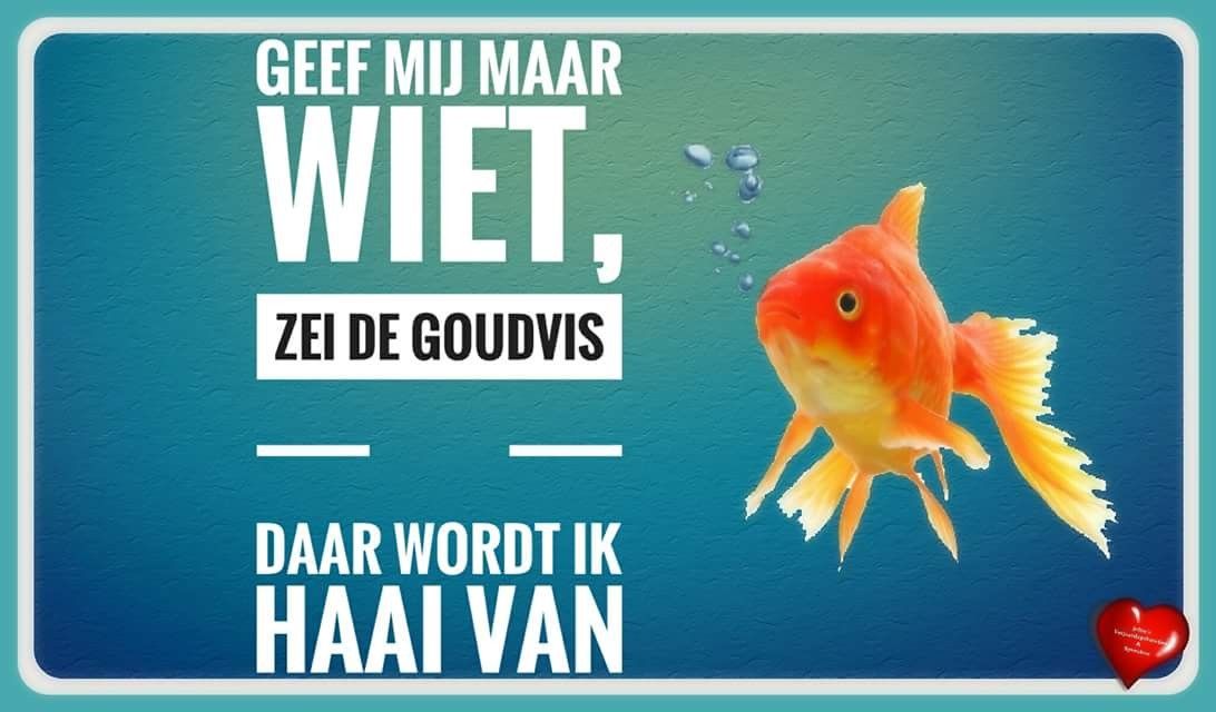 c29c3866b3915ec59e4fa8cdea8ffc31.jpg