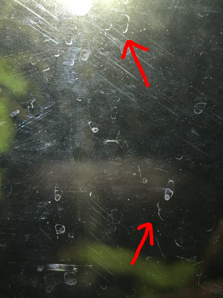 C8BE0791-D90B-4E62-88CD-A31AD092EF68.jpeg