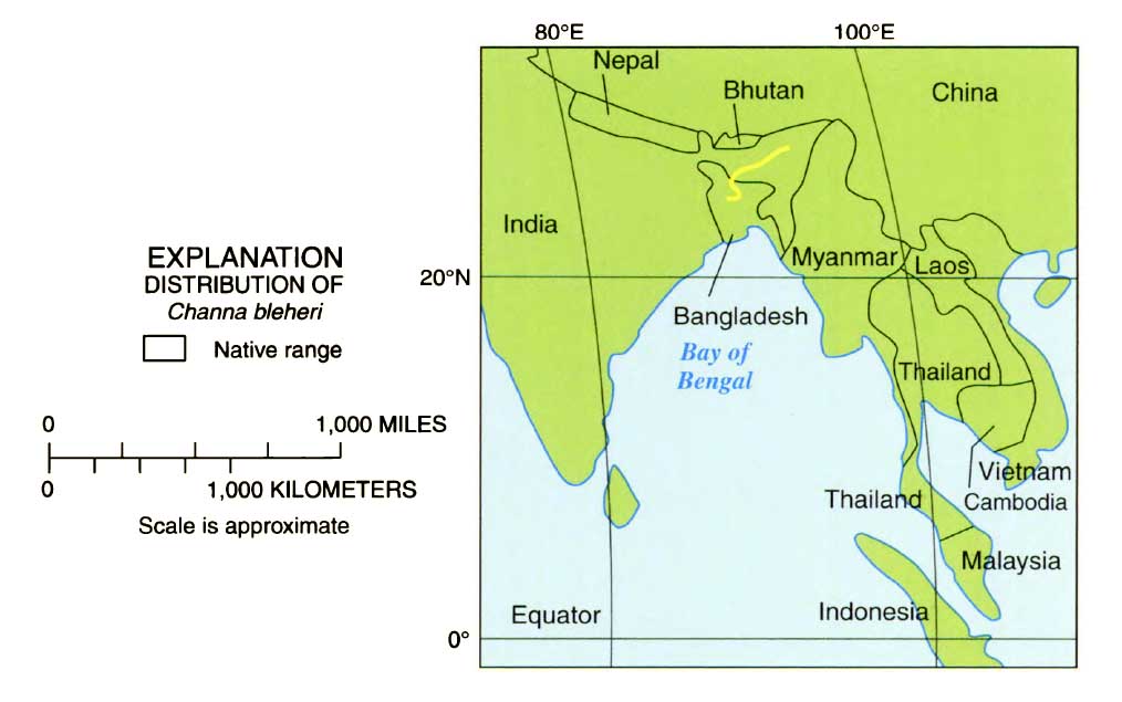 Channa-bleheri-distribution.jpg