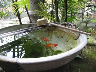chinese traditional goldfish bowl.jpeg