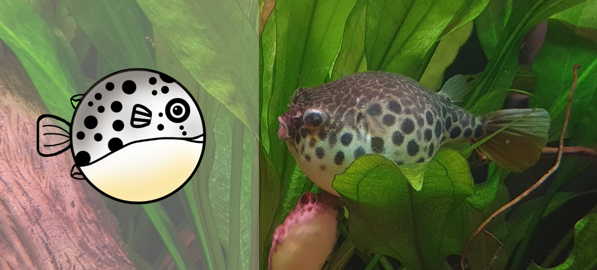 Close-enough.png