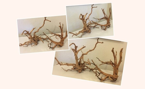 Collage 2018-10-04 17_15_17 (2).jpg