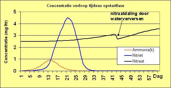 concentratie-verloop-tijdens-opstartfase-aquarium.jpg