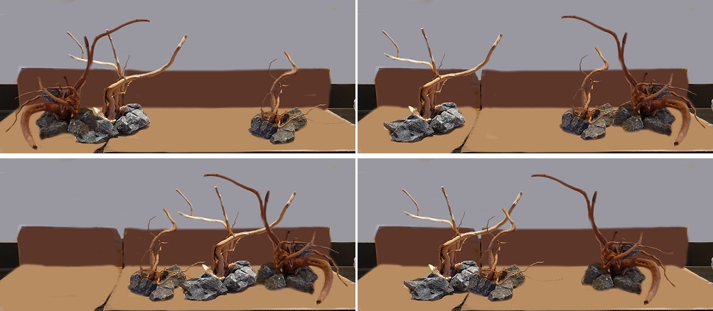 concept.jpg