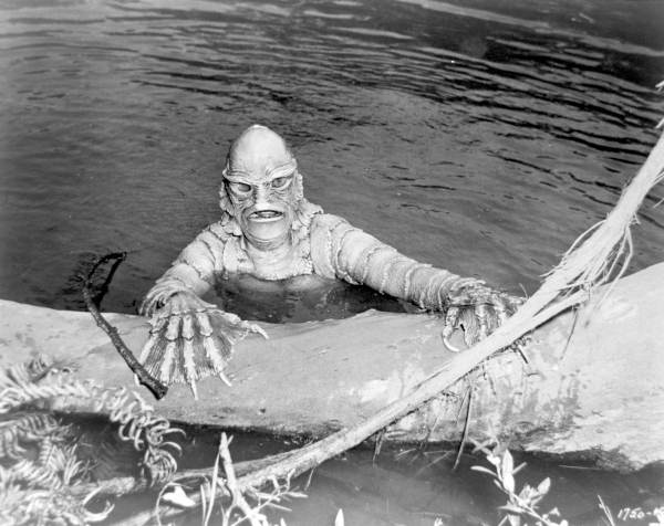 creature1.jpg