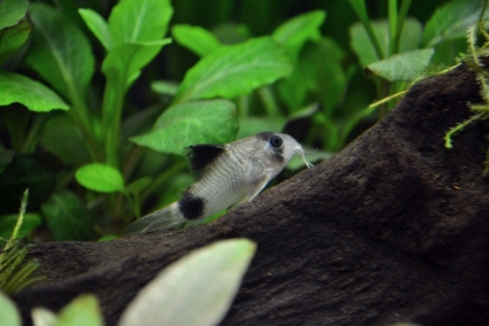 csc_0326.jpg