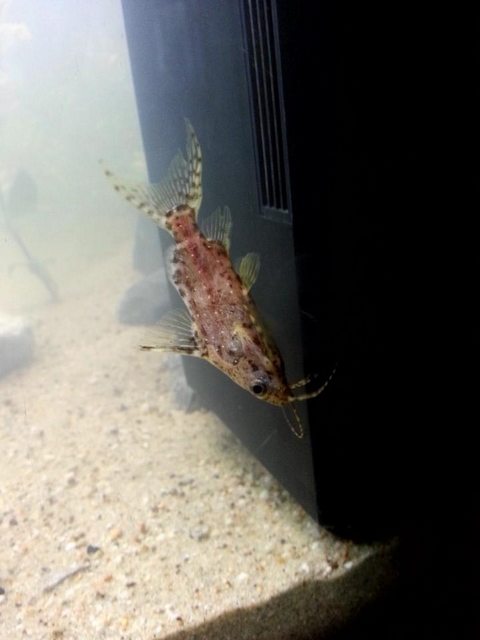 DcG6ueOzzzxVkCeYNEK17MoS0AqQHXgu.jpeg DcG6ueOzzzxVkCeYNEK17MoS0AqQHXgu.jpeg