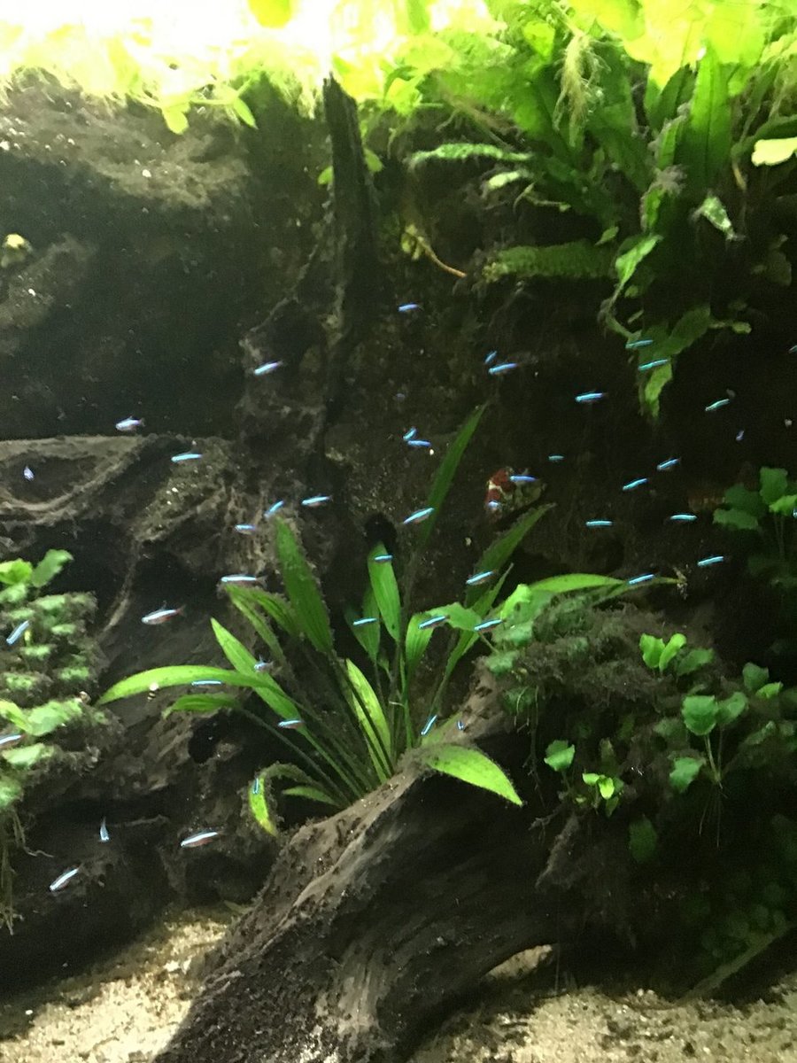 DDBCF33E-0585-4868-B00B-383033D07E48.jpeg
