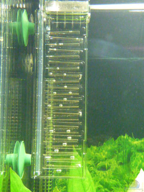 dennerle-co2-flipper__a0b869ed1c0f77d0dfee2a72a89b18c0.jpg