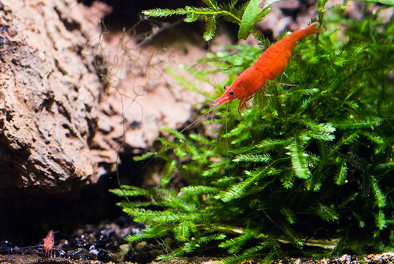 DLHDGYwcsydt6VniWah_qG6i78dGv5xk.jpeg DLHDGYwcsydt6VniWah_qG6i78dGv5xk.jpeg