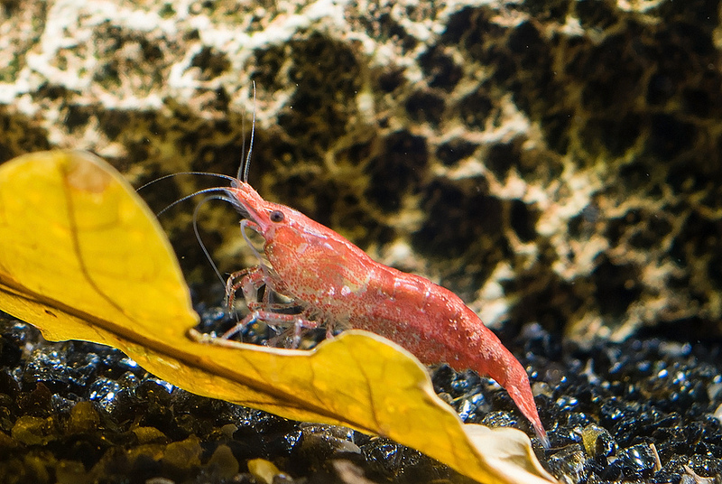 DLHDGYwcsydt6VniWah_qG6i78dGv5xk.jpeg DLHDGYwcsydt6VniWah_qG6i78dGv5xk.jpeg