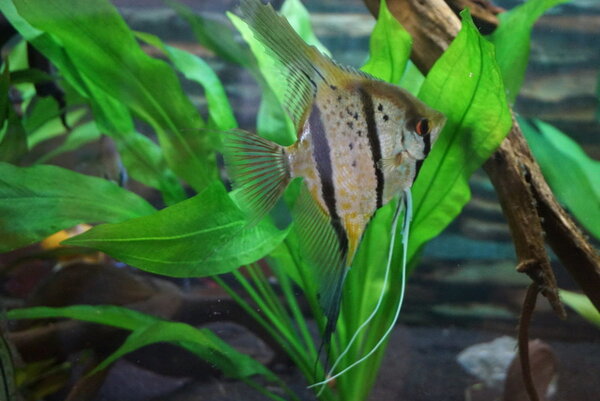 DSC01807.JPG