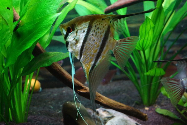 DSC01832.JPG