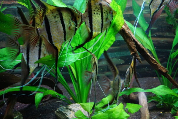 DSC01841.JPG
