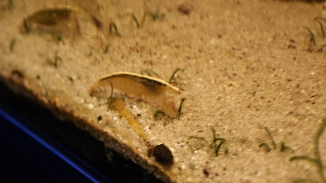 DSC02343_zps0336e2f2.jpg