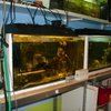 DSC02586-2.jpg~c100.jpg