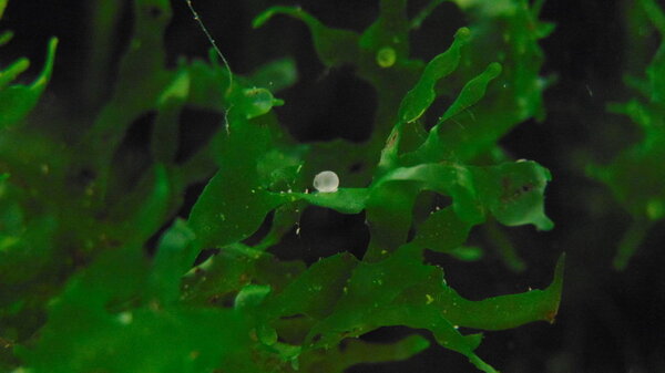 DSC02968.JPG