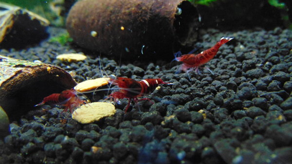 DSC02982.JPG