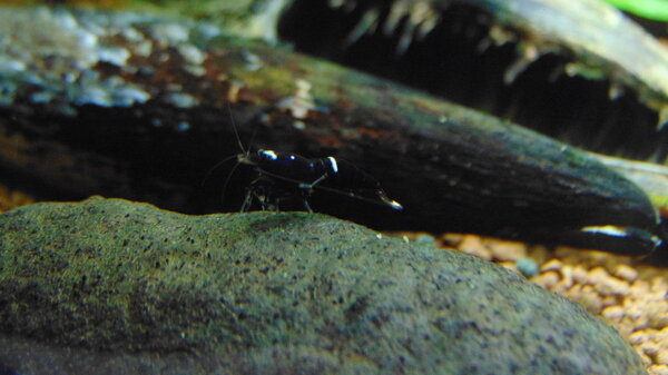 DSC02999.JPG