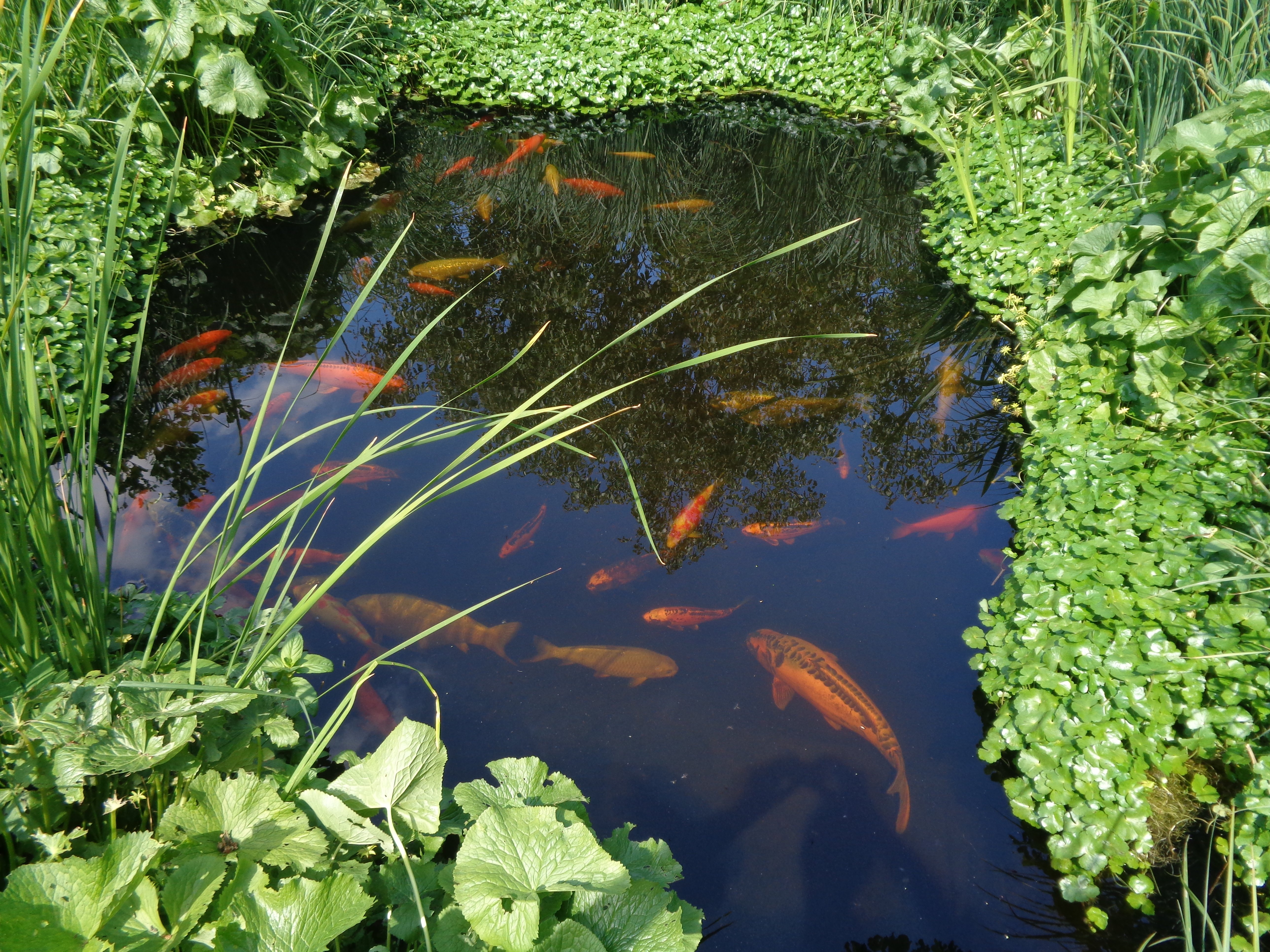 DSC03781.JPG