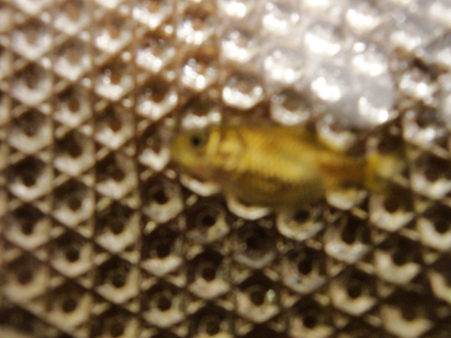 dsc03926.jpg