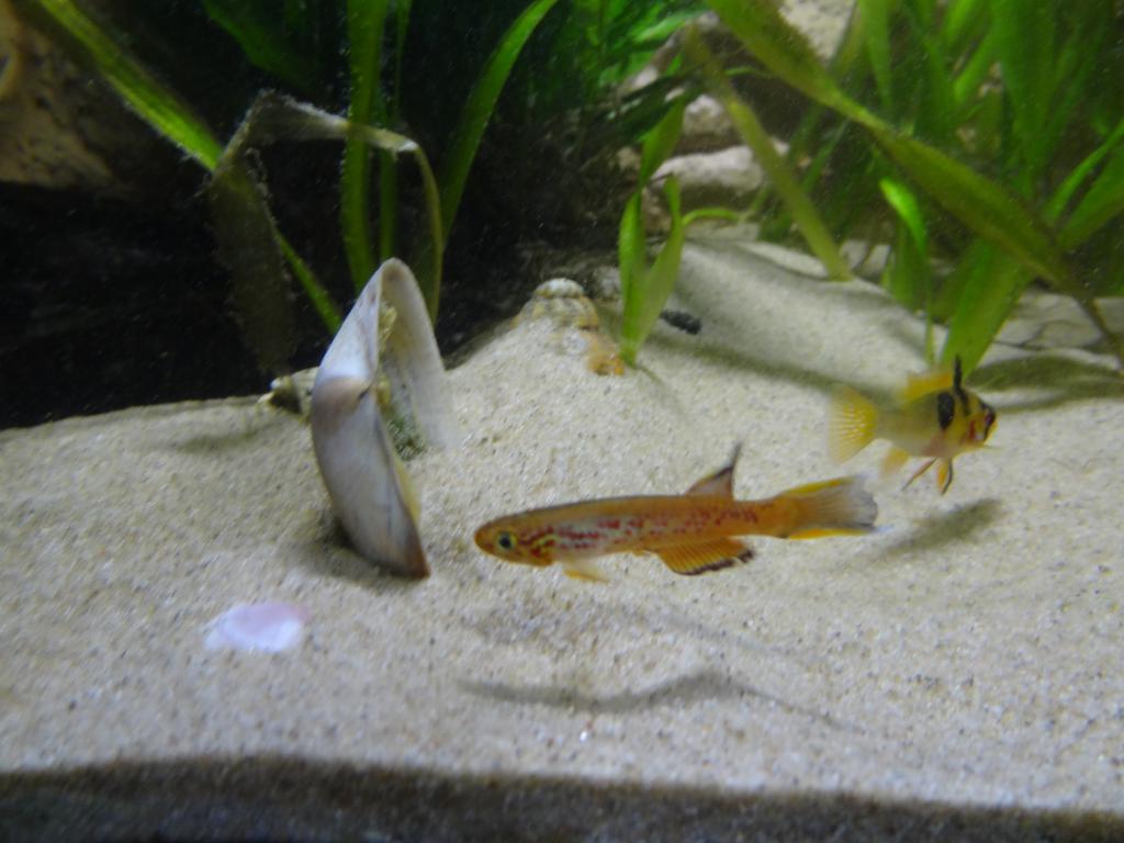 DSC04390_zps2d6fcdc6.jpg