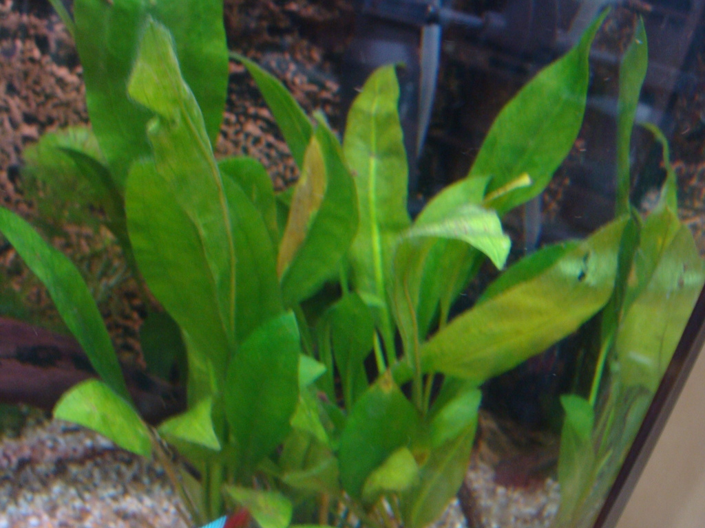 DSC04449_zpsilciyp1s.jpg