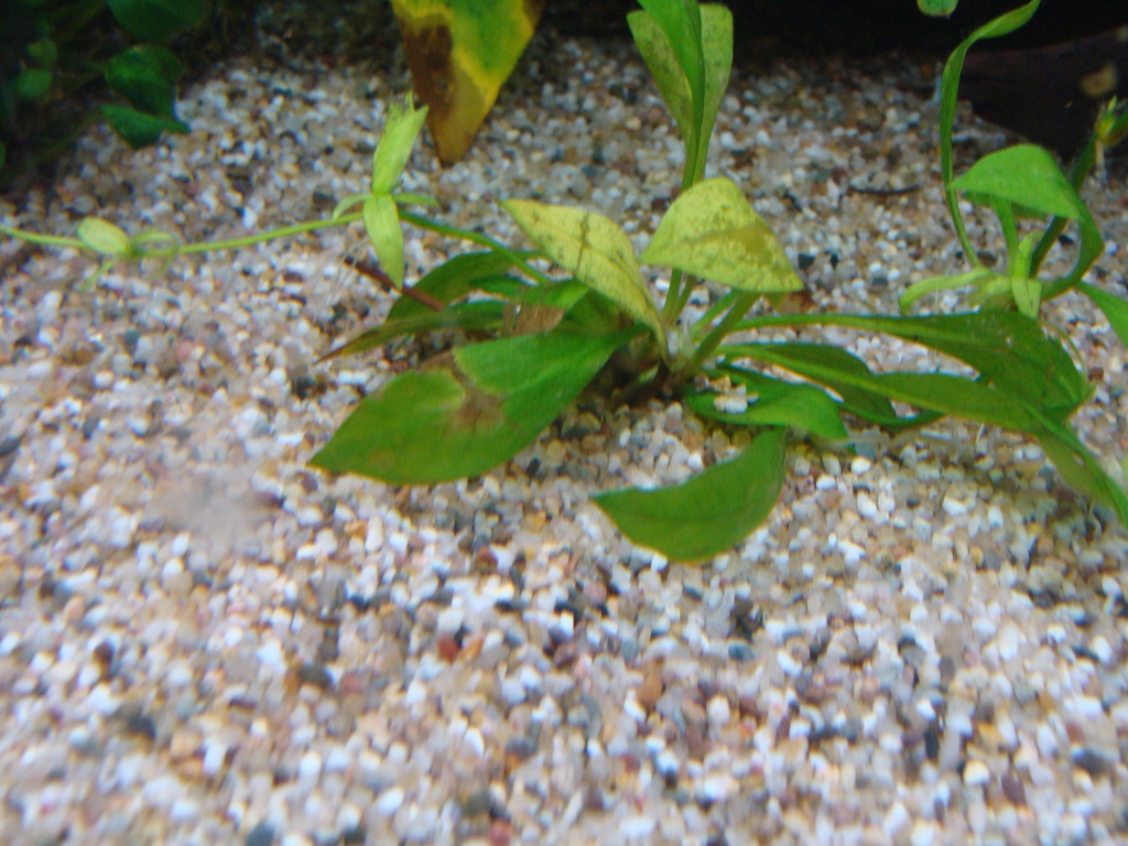 DSC04450_zpsopwrglh7.jpg