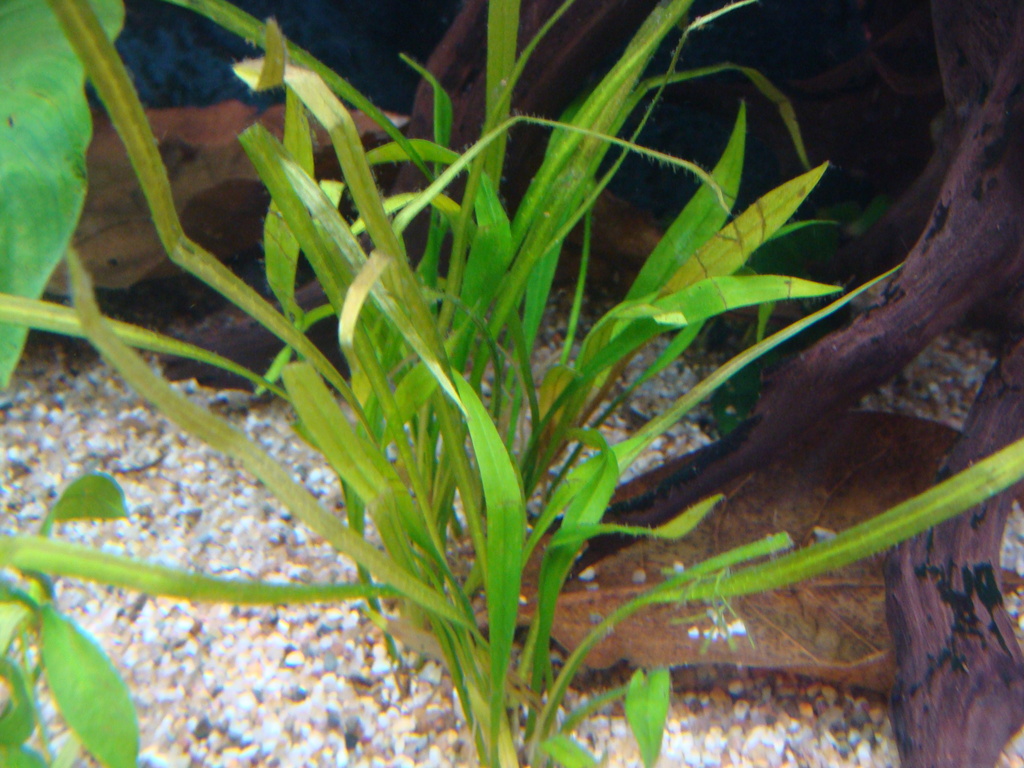DSC04451_zpsbsgq3zfe.jpg