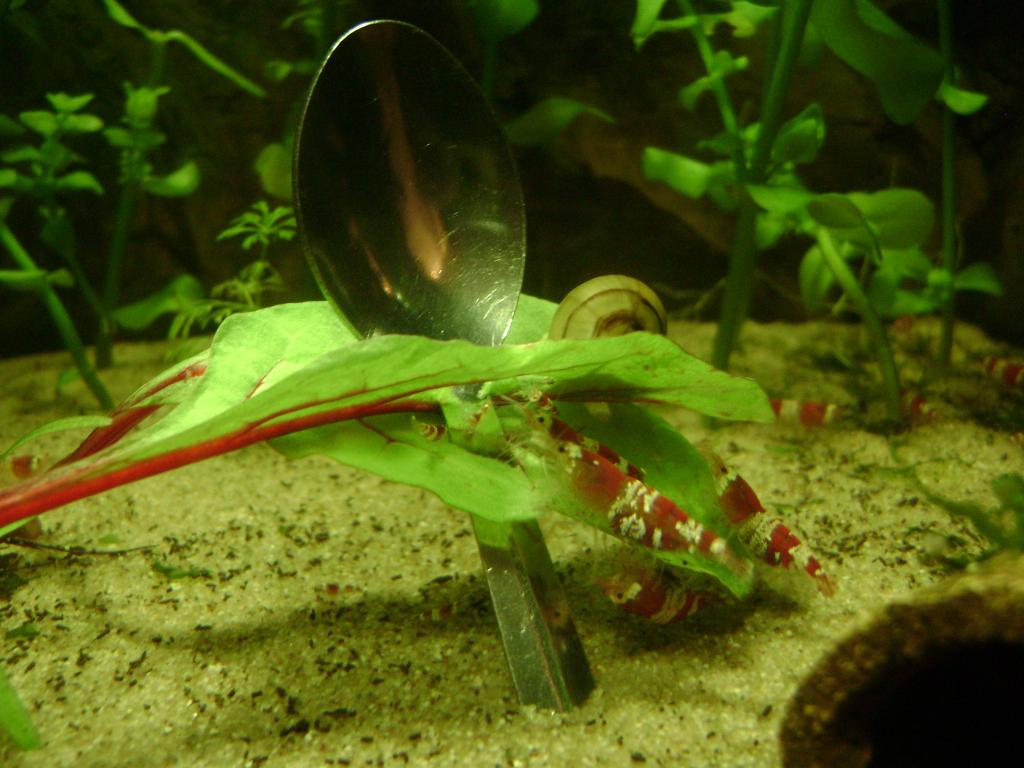 DSC08080_zps11ee64e0.jpg