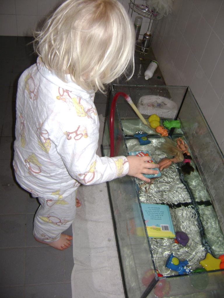 DSC08113_zps36fef0f7.jpg