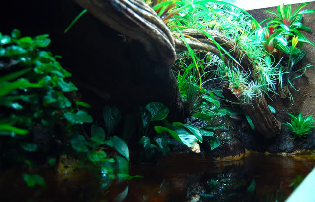 DSC_0158.jpg