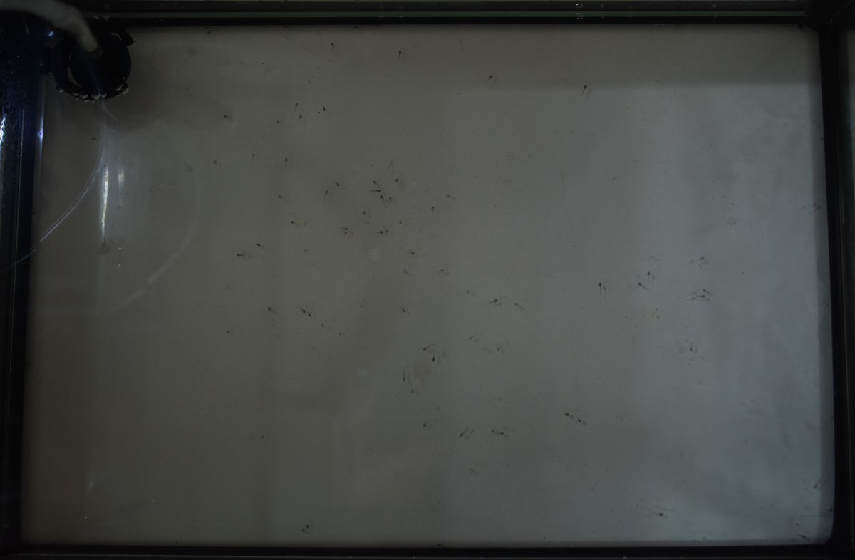 DSC_0212.JPG