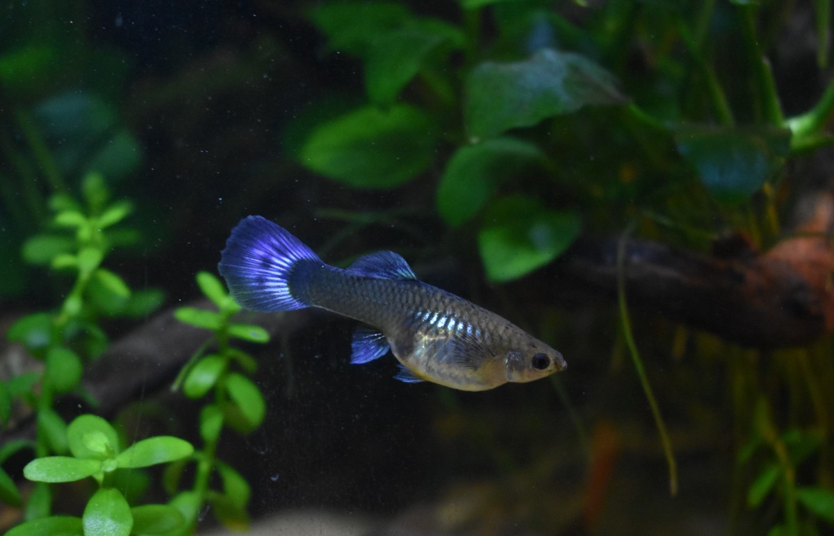 DSC_0257.JPG