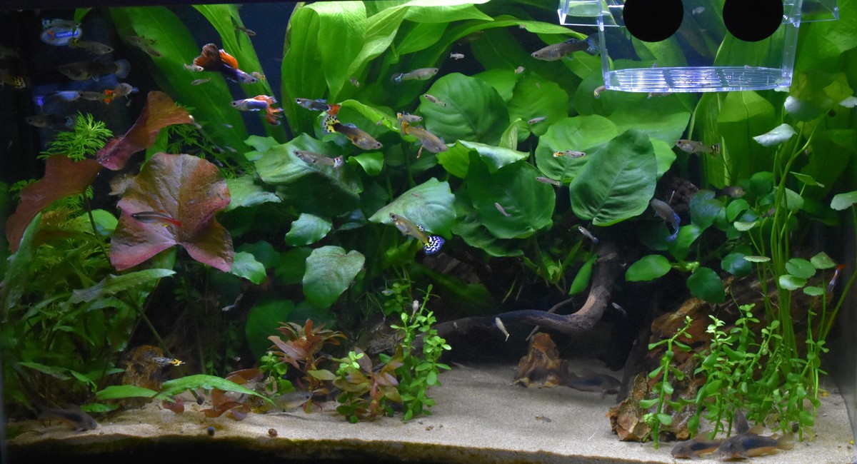 DSC_0469.JPG