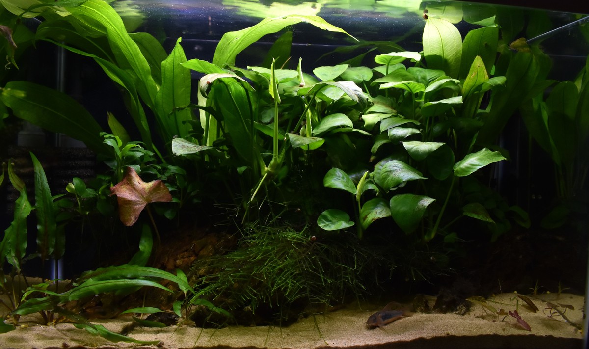 DSC_1107.JPG