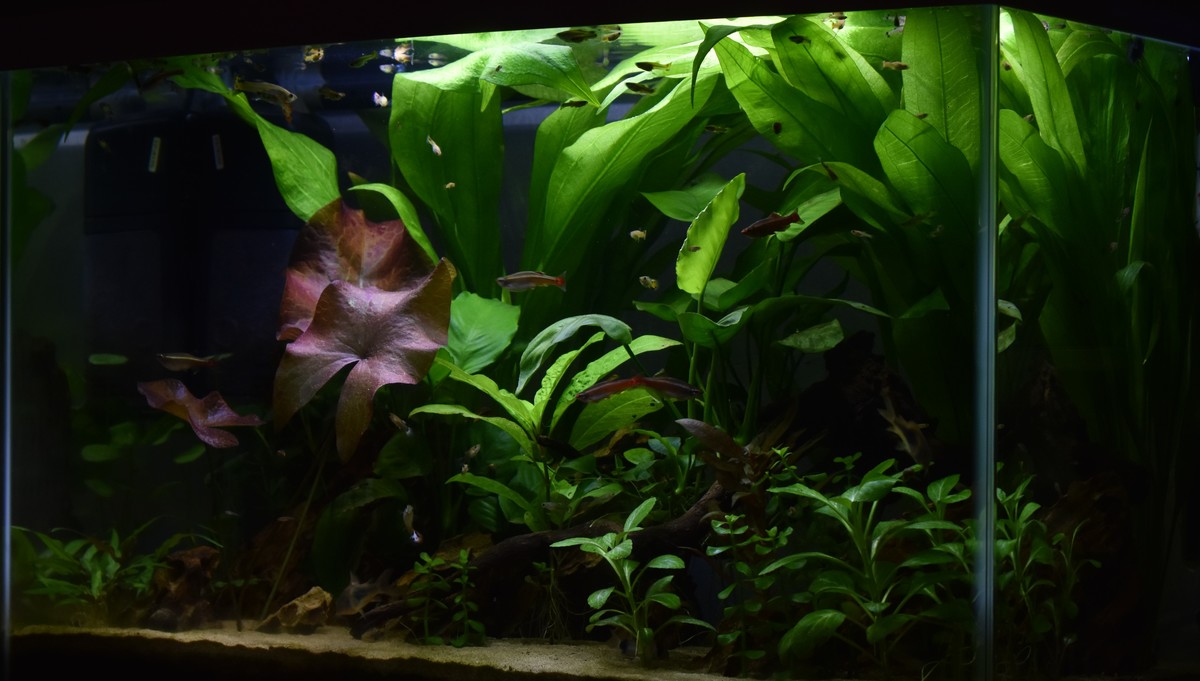 DSC_1152.JPG