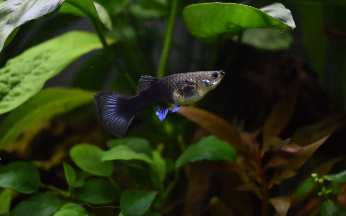 DSC_1174.JPG