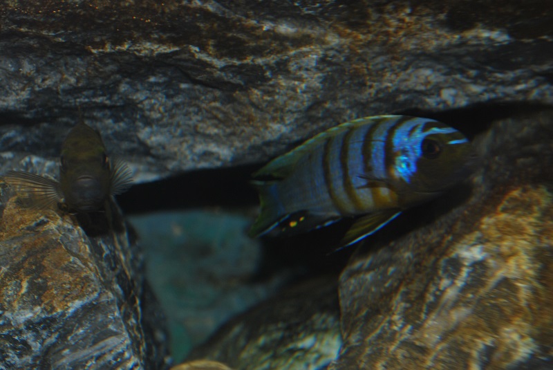 dsc_1721.jpg