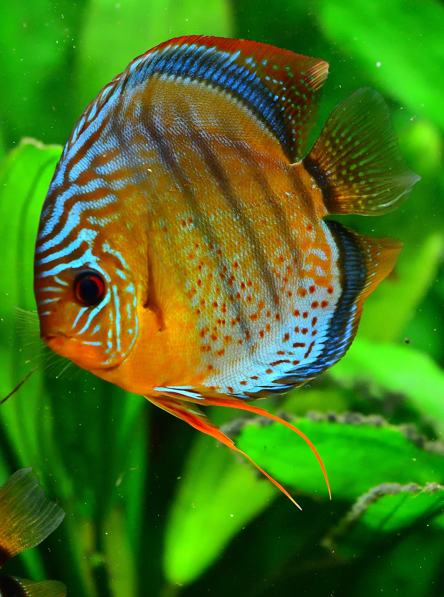 DSC_1848.jpg