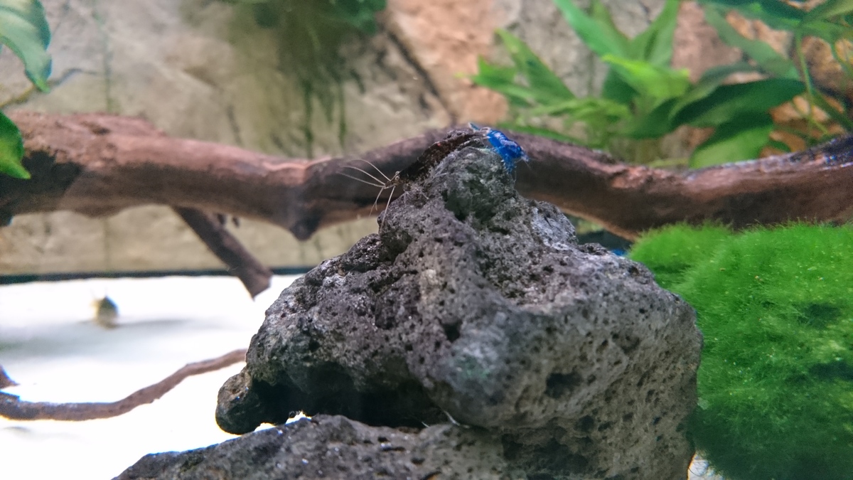 DSC_1953.JPG