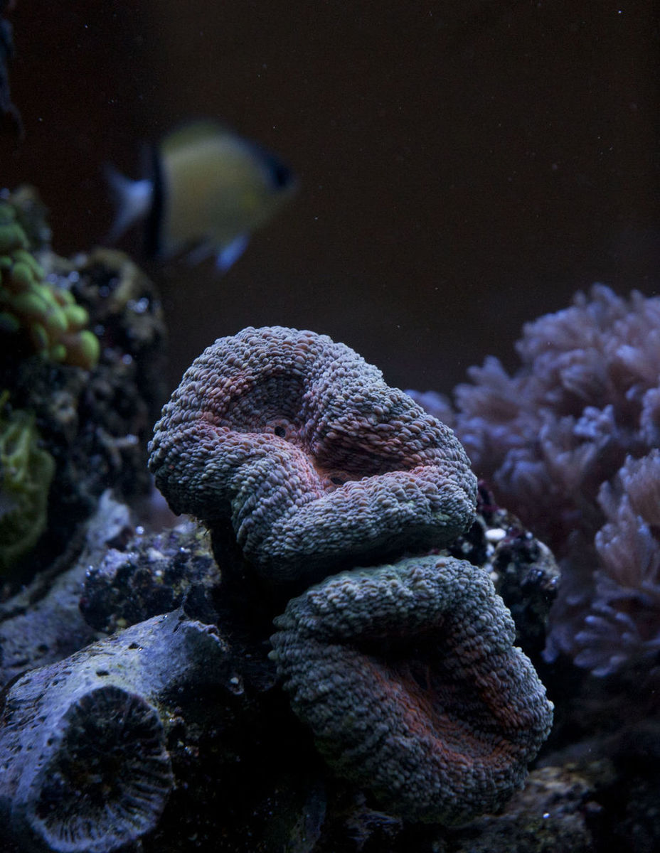 DSC_2370.jpg