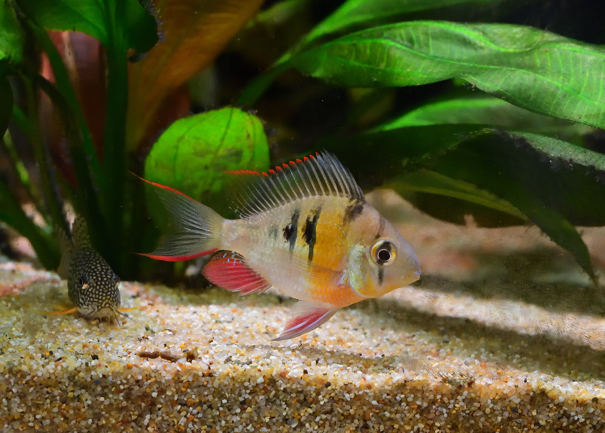 DSC_3785.jpg