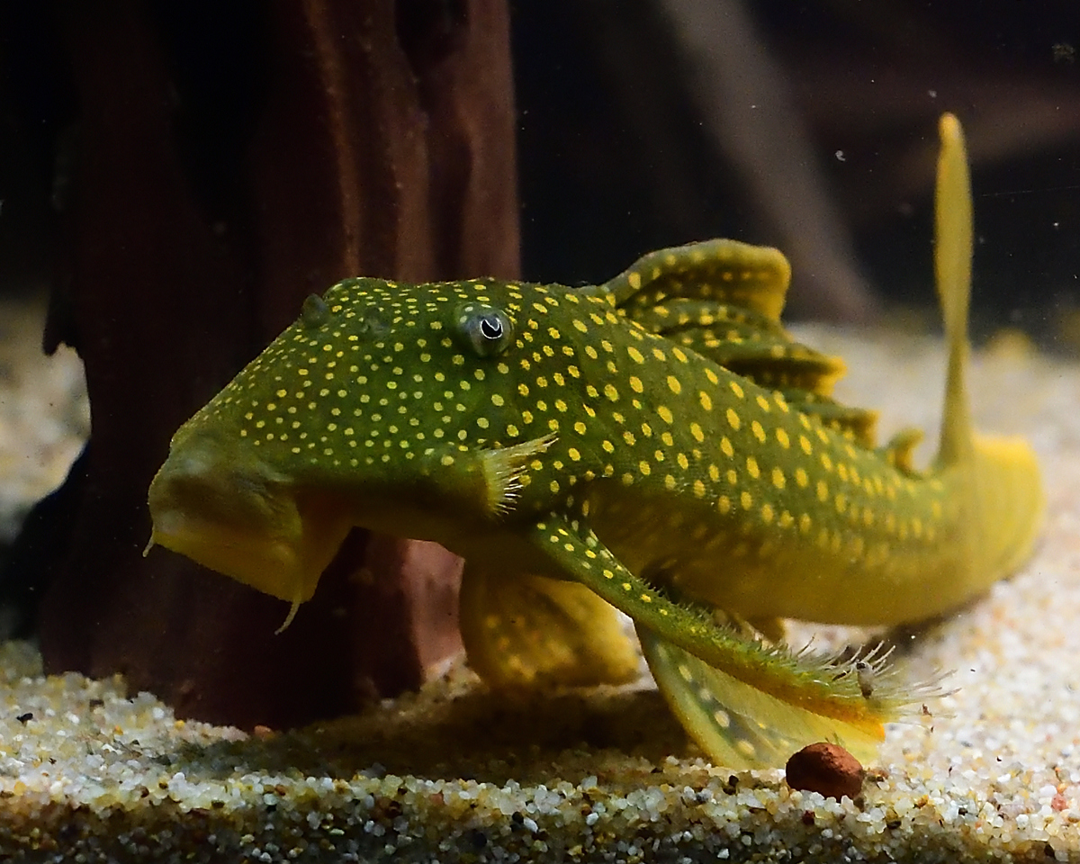 DSC_4698.jpg