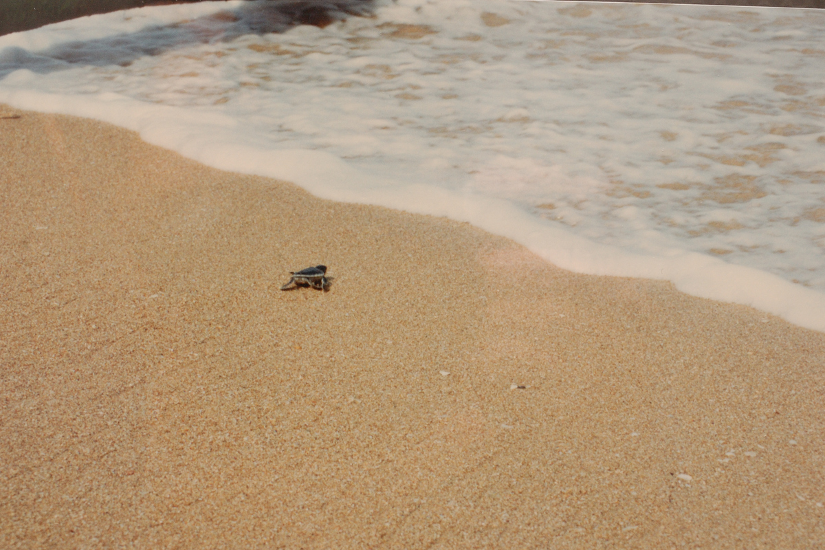 DSC_7751.jpg