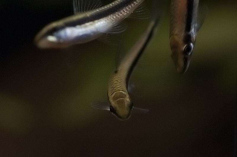 DSC_8890.jpg