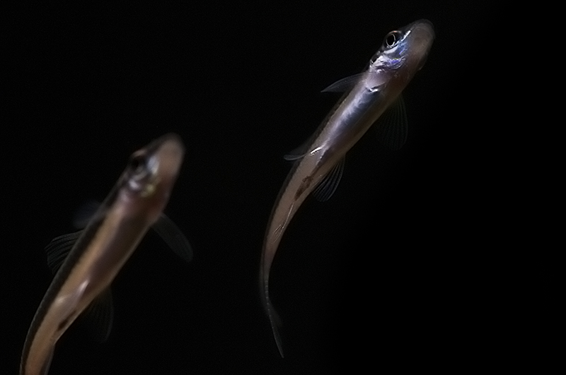 DSC_8935.jpg